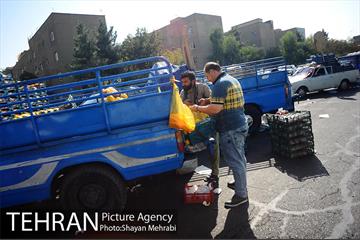 میوه فروشان خیابانی 18