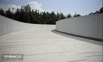 پل تندرستی 13