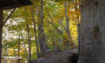 سمفونی رنگ های پاییزی - دربند 16