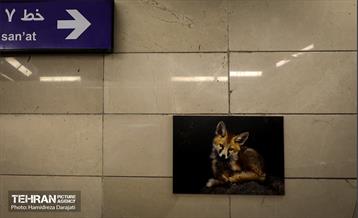 رونمایی از سند ایزو14001 ایستگاه مترو تربیت مدرس 10