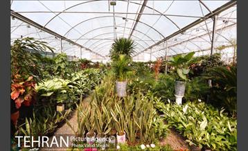 آیین افتتاح پروژه های منطقه 21 22