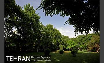 بوستان لاله 13