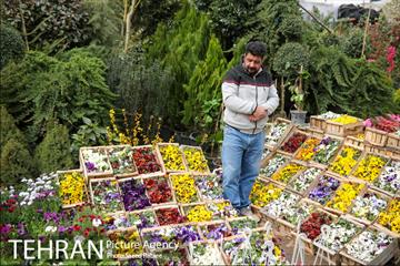 بازار گل و گیاه غرب تهران در آستانه نوروز 22