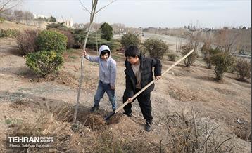آئین غرس درخت به پاسداشت شهدای منطقه ۵ 6