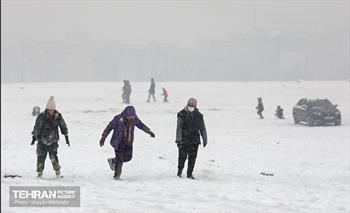 بارش برف در تهران 11