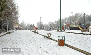 بارش برف زمستانی در منطقه ۲ 11