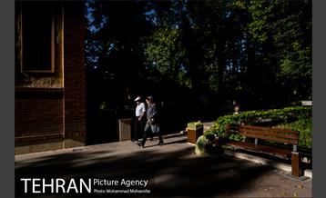 شهرنگار؛ باغ ایرانی 18