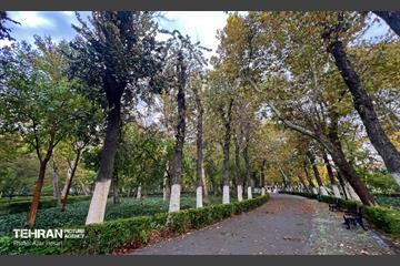 پاییز پارک شهر 11