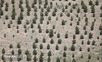 بازدید اصحاب رسانه از کمربند سبز 31