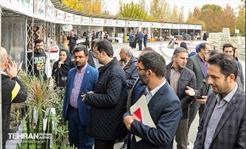 پنجمین جشنواره خرمالوی کن 30