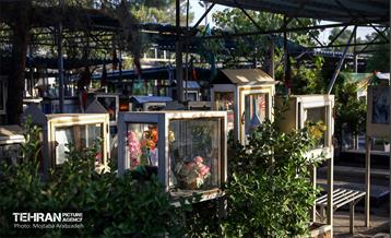 قاب های ابدی 1