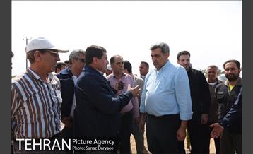 بازدید شهردار تهران از منطقه سیل زده پل قدرت آباد دشت آزادگان 5