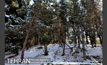 پاییز برفی پارک ملت 2