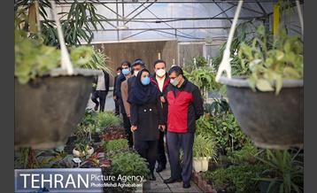 پویش سه شنبه های بدون خودرو در منطقه 8