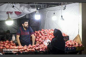 یازدهمین جشنواره صد دانه یاقوت 7