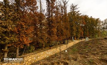 رود دره فرحزاد 1