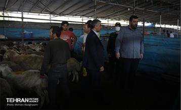 بازدید از مرکز عرضه بهداشتی دام ویژه عید قربان 57