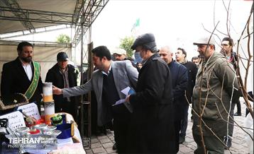 مراسم روز درختکاری در منطقه 12 20