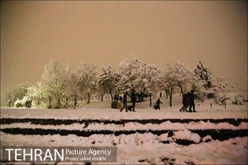 بارش برف در تهران  5