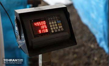 مرکز عرضه دام بهداشتی به مناسبت عید قربان 4