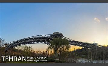 پاییز پل طبیعت 2