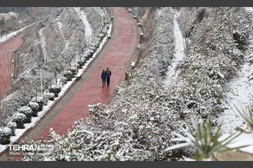 روز برفی تهران - 1 14