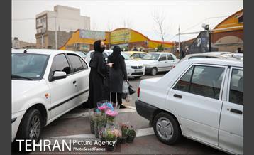 بازار گل و گیاه غرب تهران در آستانه نوروز 18