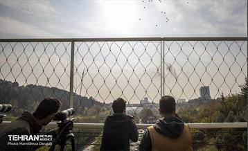 مراسم رونمایی از پویش "همه هوادار ایران" 8