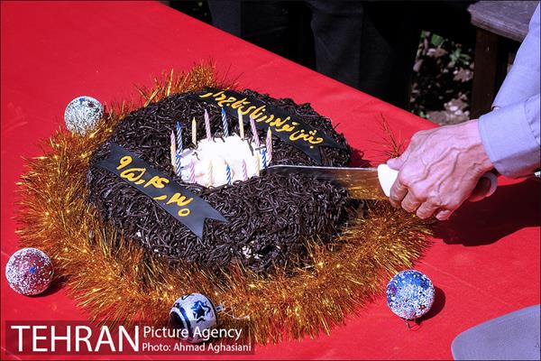 جشن تولد جوجه درنای تاج خاکستری آفریقایی 3