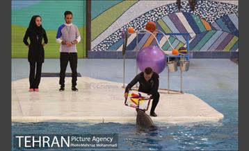 مراسم اختتامیه جشنواره یاد یار مهربان 19