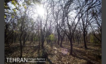 کوچه باغ های محله کن 54