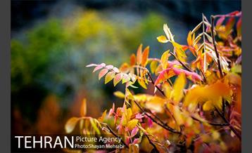 طبیعت پاییزی روستای سنگان 35
