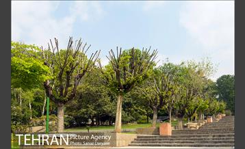 بوستان نیاوران 8