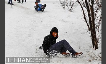 تفریحات برفی مردم پایتخت 10