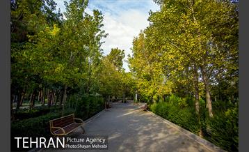 پاییز بوستان لاله 12