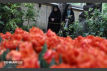 به وقت اردیبهشت؛ باغ ایرانی 6