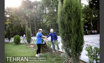 طرح پاکسازی پارک شهر تهران از فیلترهای سیگار  8