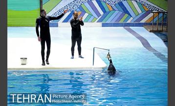 حضور خانواده هاى کارکنان شهردارى تهران در دلفیناریوم برج میلاد به همراه شهردار تهران 15