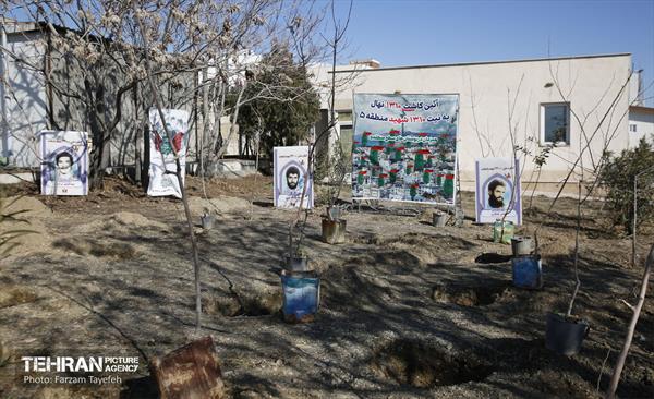 آیین کاشت 1310 نهال در منطقه 5 35