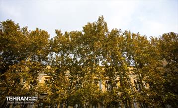 پاییز میدان مشق 11