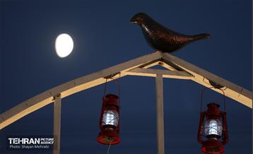 سرزمین تمدن‌ها 8