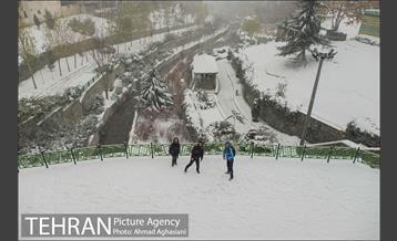 بارش نخستین برف پاییزی تهران 39