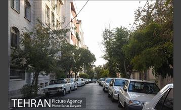 محله گیشا  17