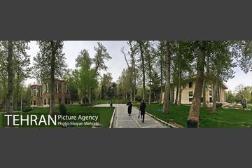 کاخ نیاوران 6