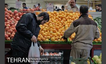 میدان میوه وتره بار شهید غیبی شهرری 10