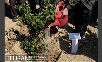 روز درختکاری در بوستان تبسم 5