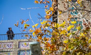 ساز ناکوک مـلکه 22