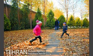 پاییز باغ موزه قصر 9