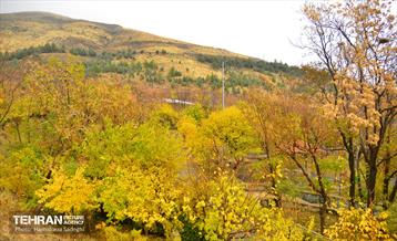 هوای پاییزی پایتخت 10
