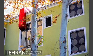 کوچه رنگی قدیانی 16